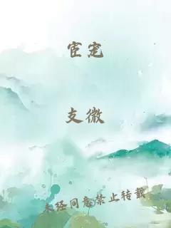 宦宠