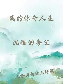 我的惊奇人生